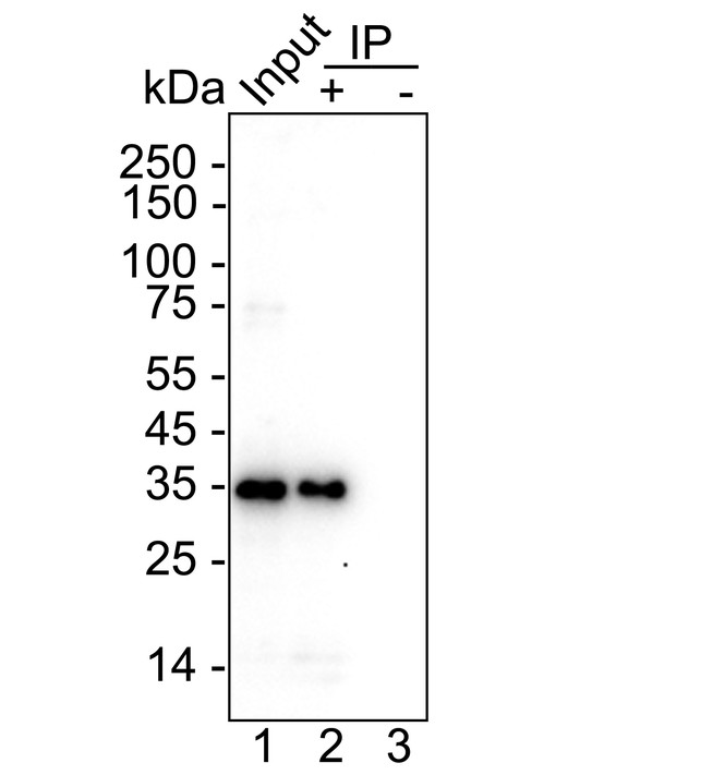 HA751517_2.jpg
