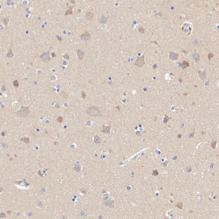 HA751518_3.jpg