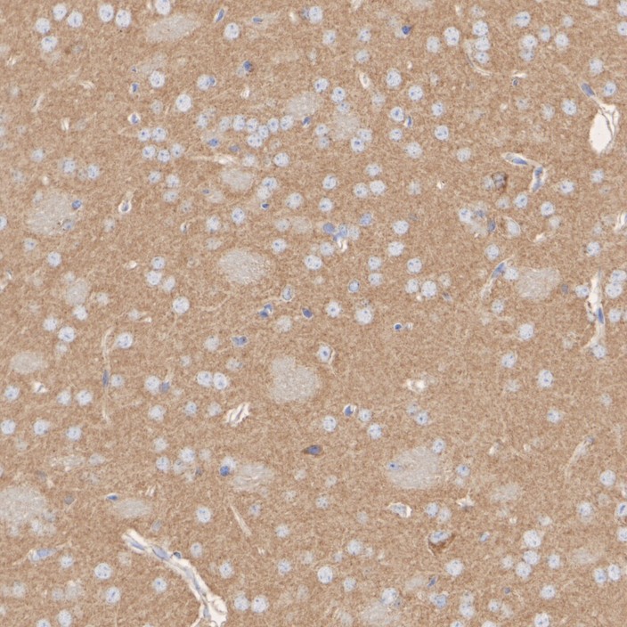 HA751518_4.jpg