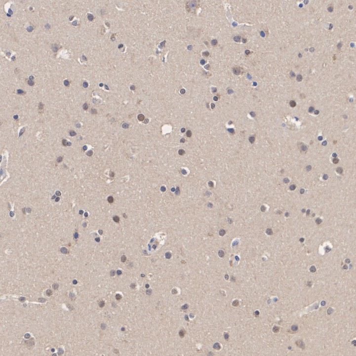 HA751519_3.jpg