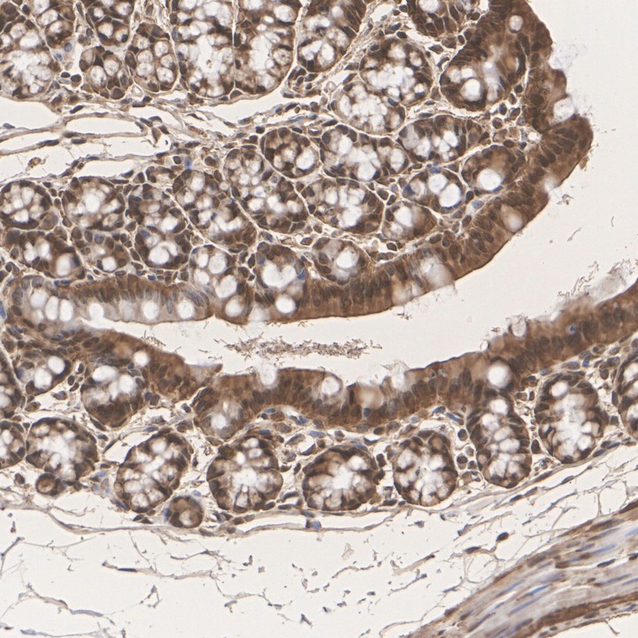 HA751520_5.jpg