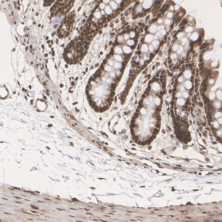 HA751520_8.jpg