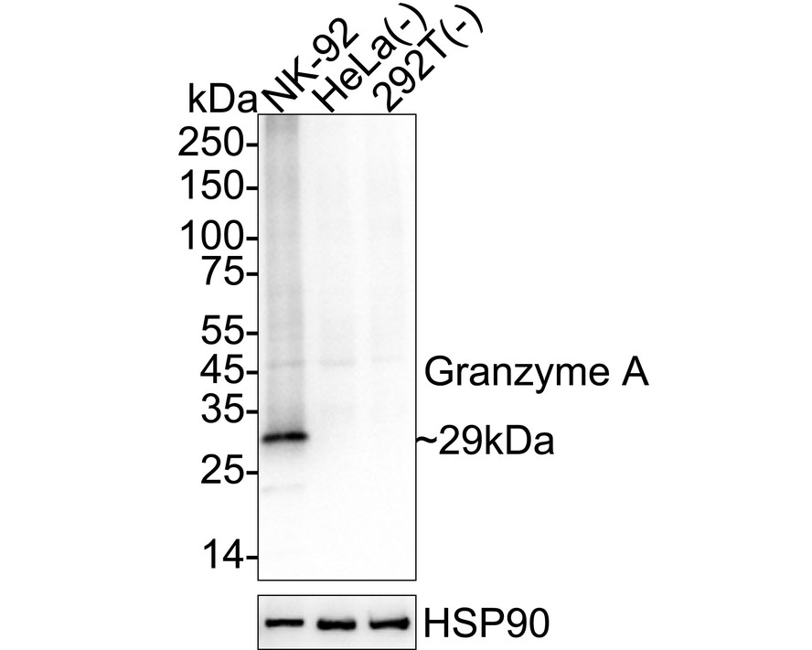 HA751521_1.jpg