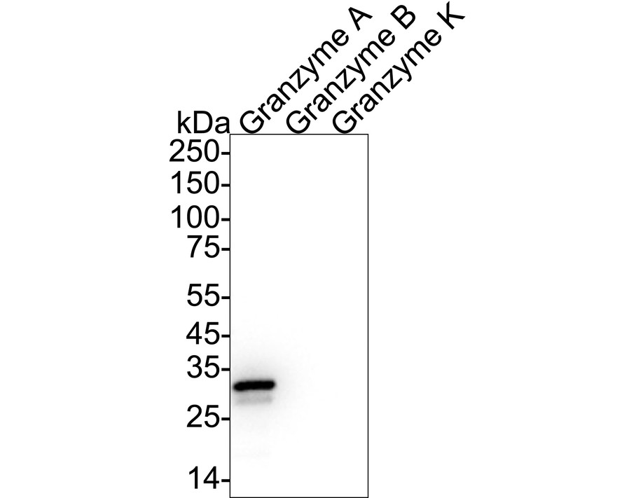 HA751521_2.jpg