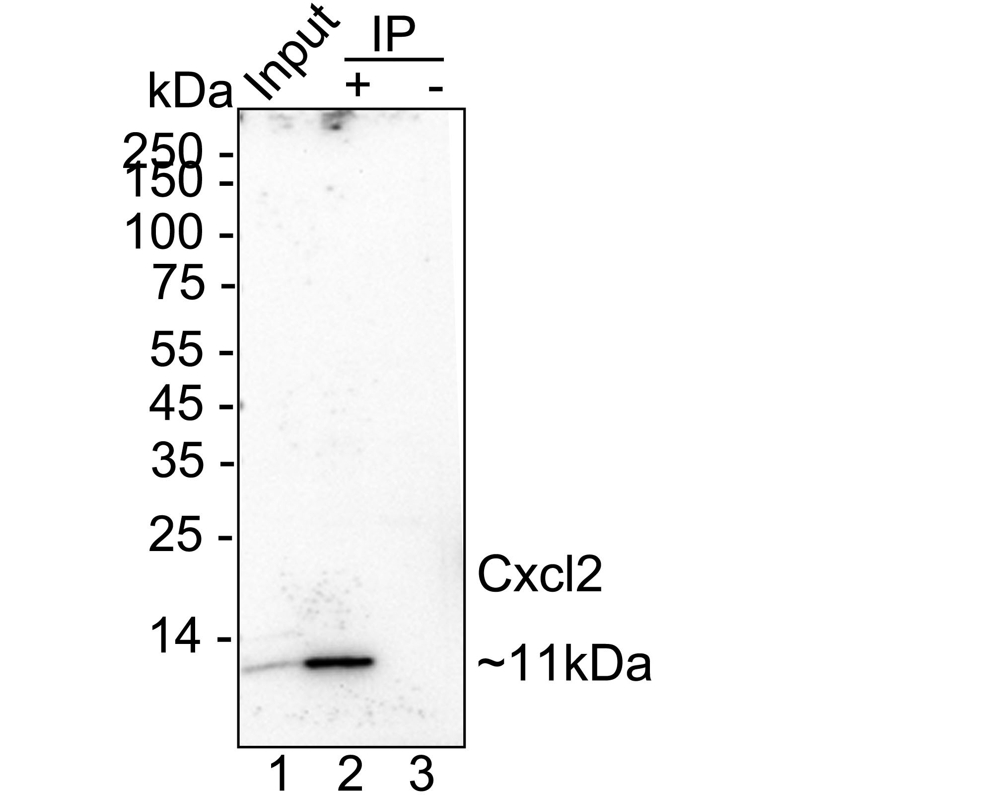 HA751523_5.jpg