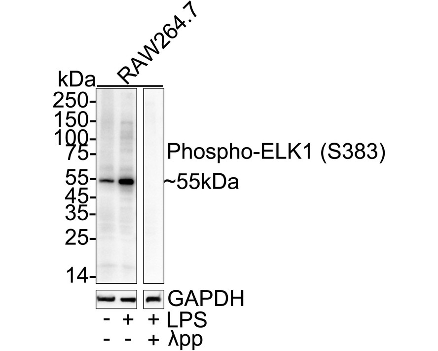 HA751526_1.jpg
