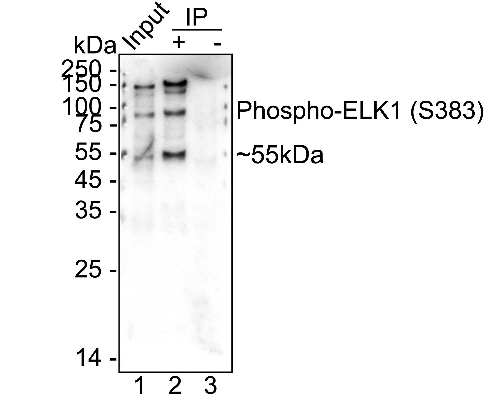HA751526_3.jpg