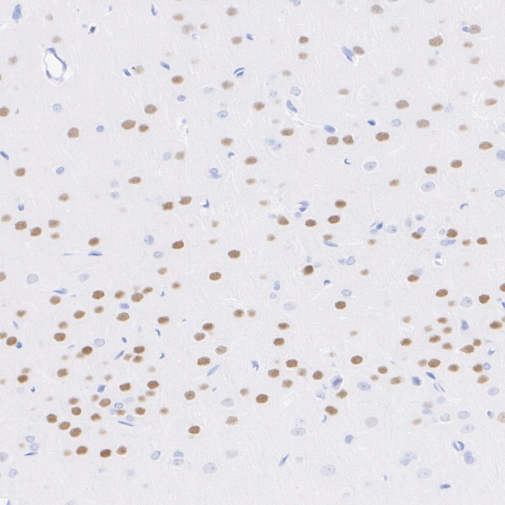 HA751530_4.jpg