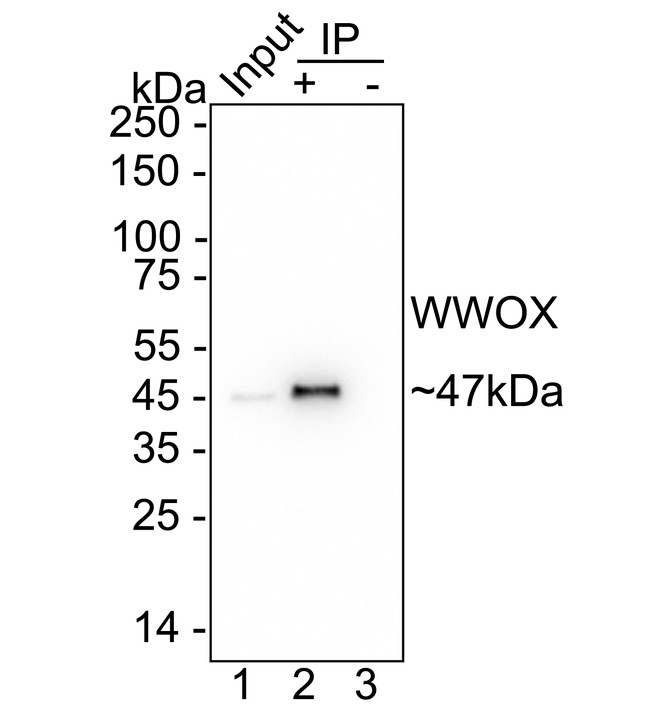 HA751559_2.jpg