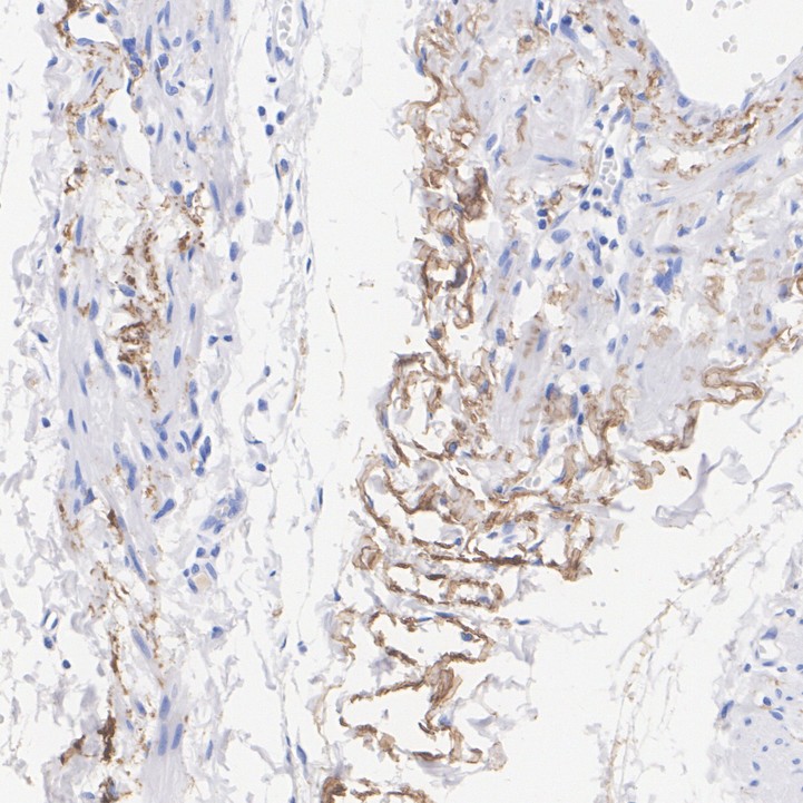 HA751591_1.jpg