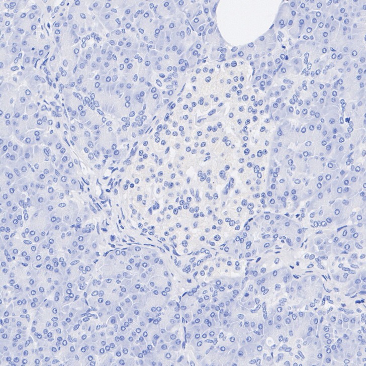 HA751596_3.jpg