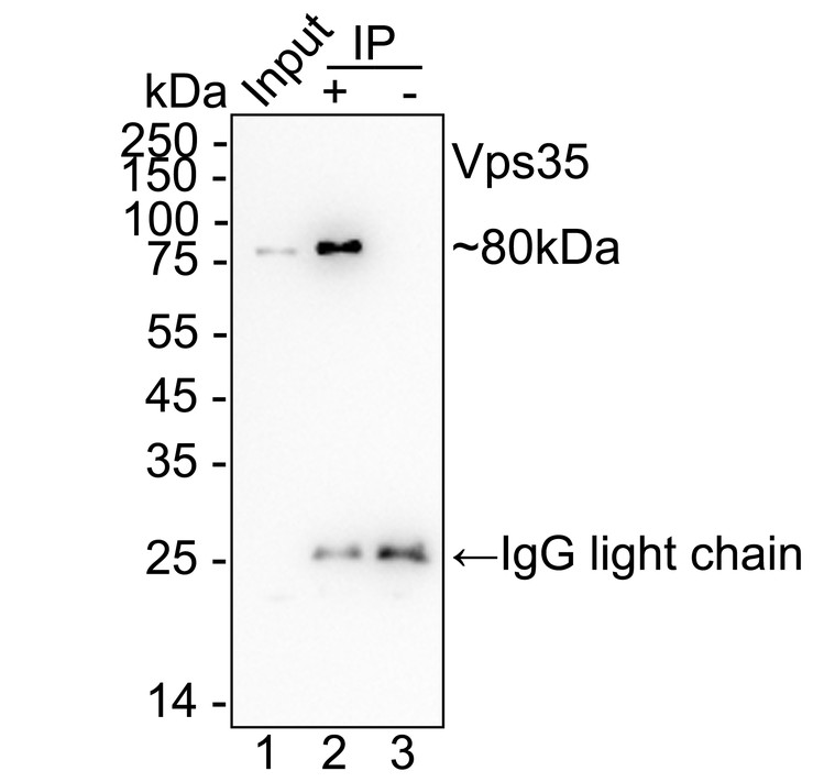HA751603_17.jpg