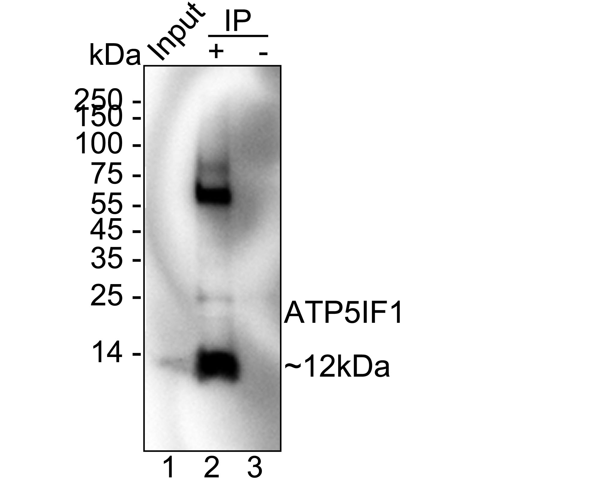HA751608_7.jpg