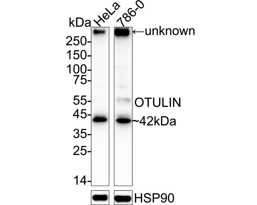 HA751609_1.jpg
