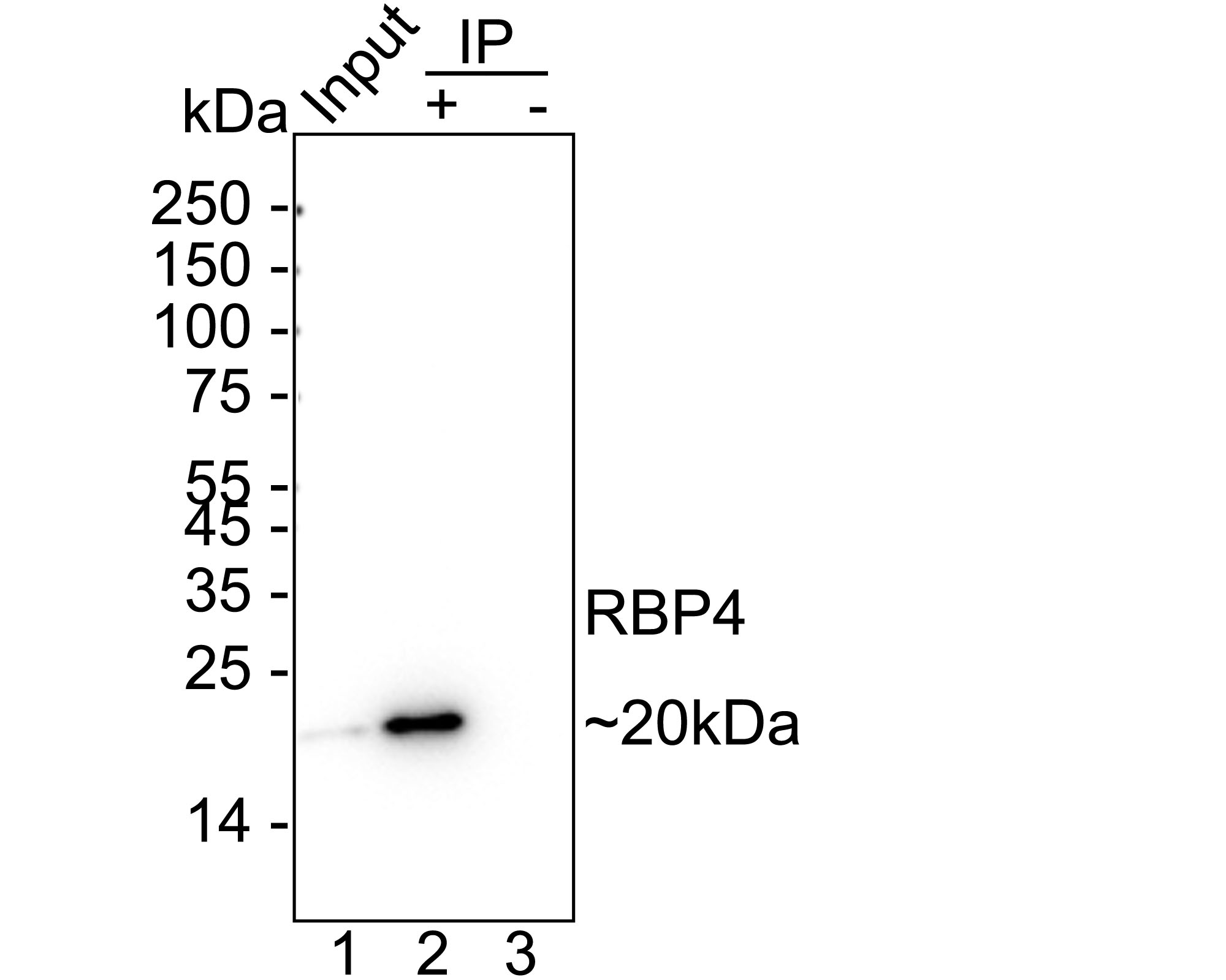 HA751611_10.jpg