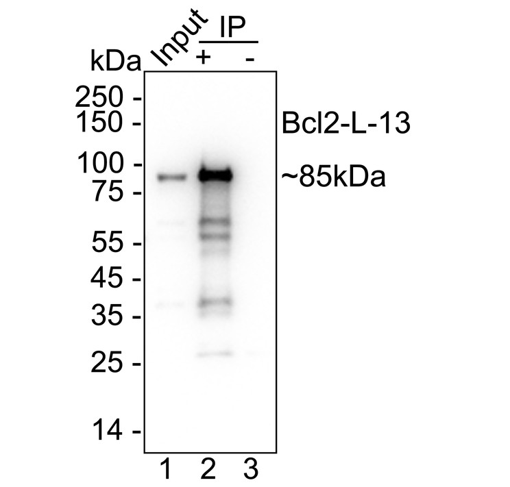 HA751616_10.jpg