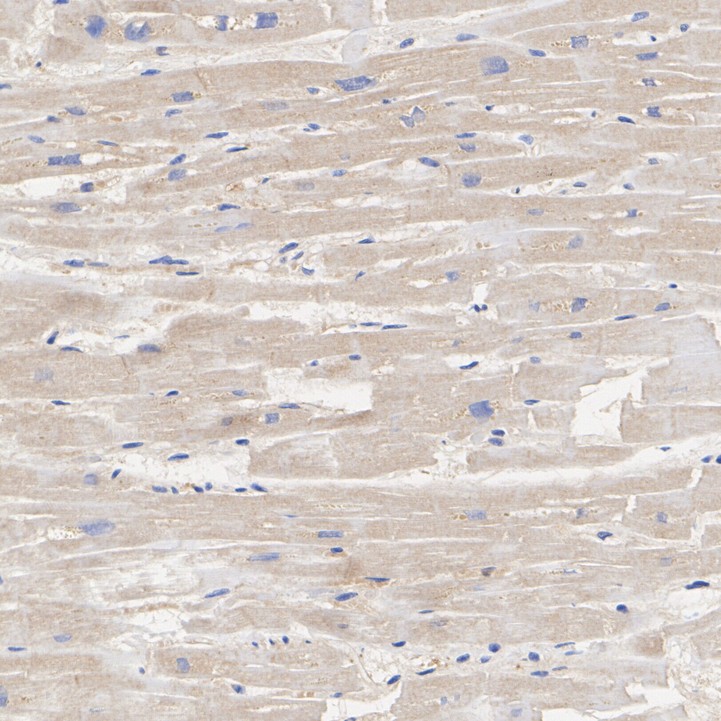 HA751616_2.jpg