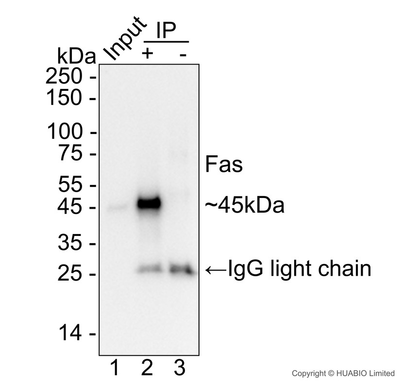 HA751783_6.jpg