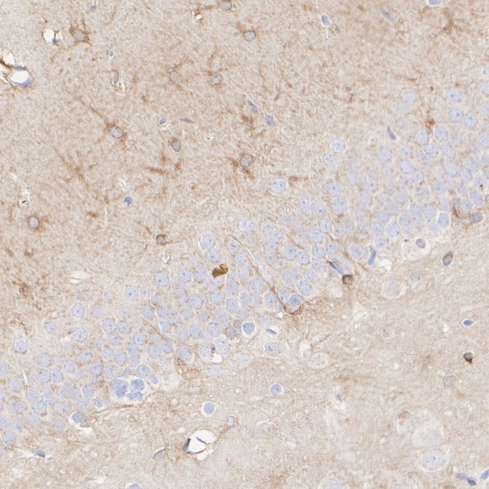 HA751818_10.jpg