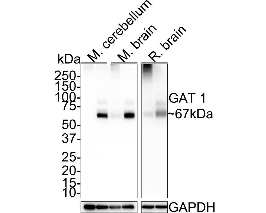 HA751824_2.jpg