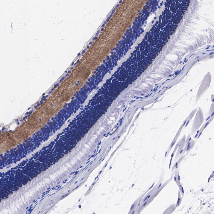 HA751824_5.jpg