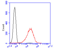 HA751827_6.jpg