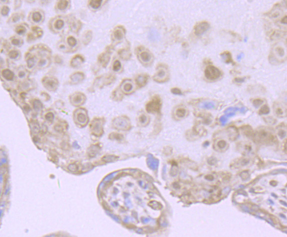 HA751829_3.jpg