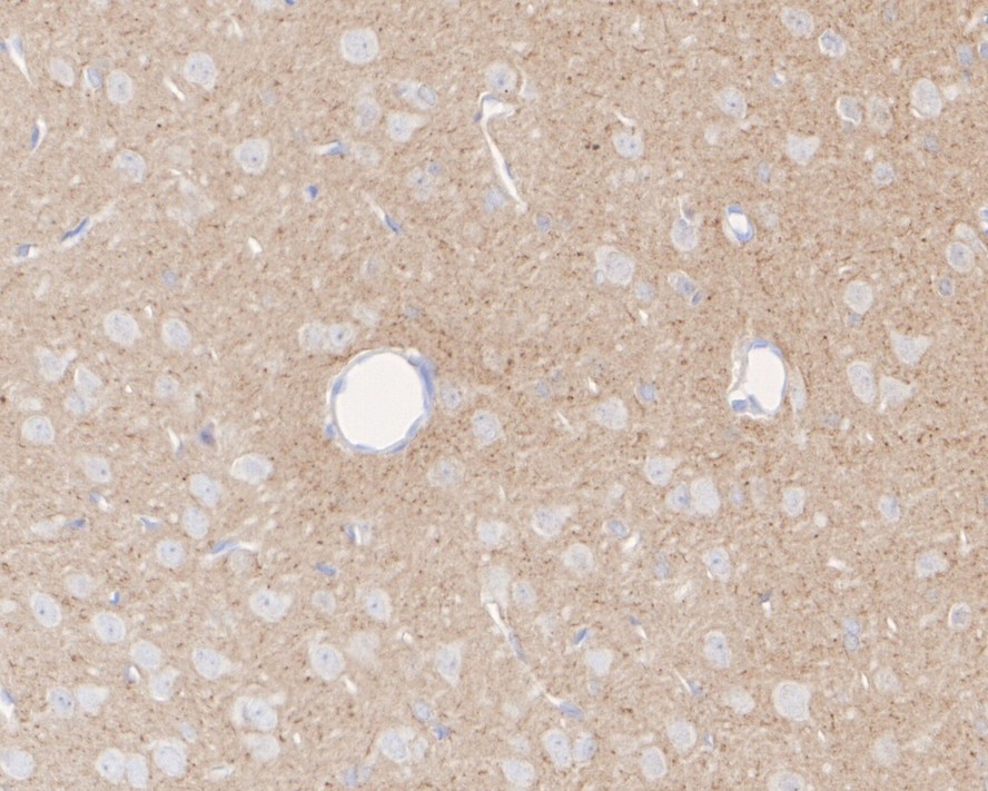 HA751830_4.jpg