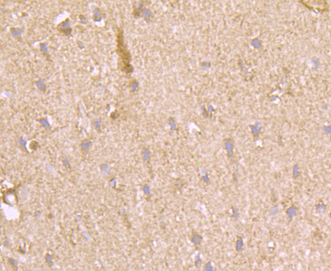 HA751831_6.jpg