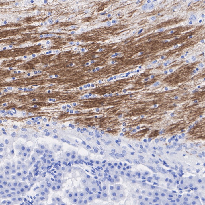 HA751833_7.jpg