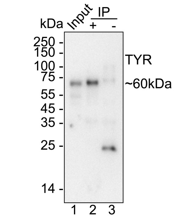 HA751836_7.jpg