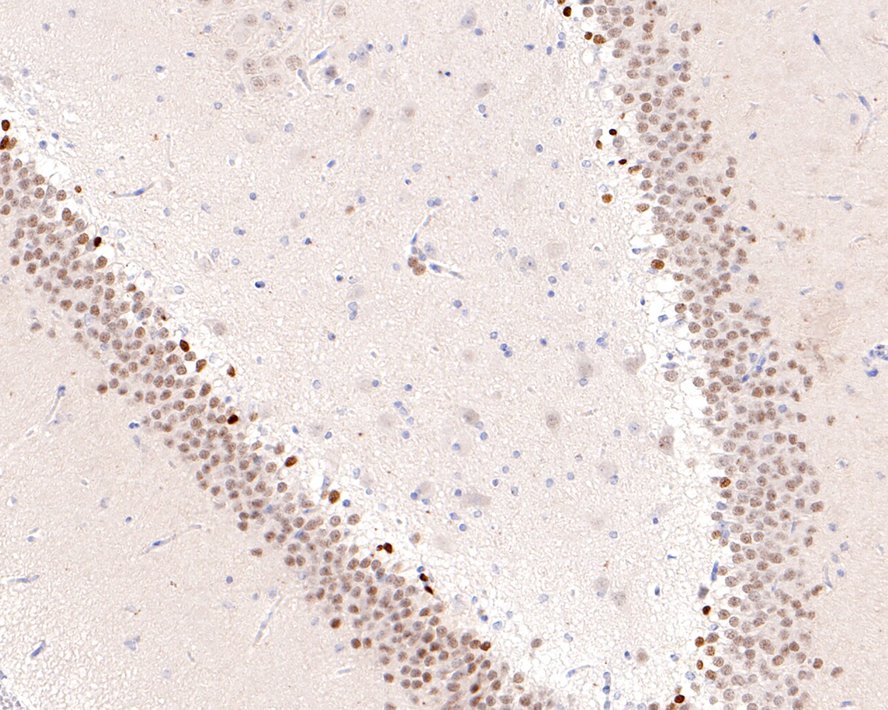 HA751840_5.jpg