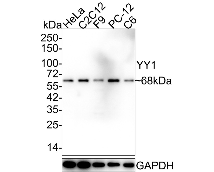 HA751847_1.jpg