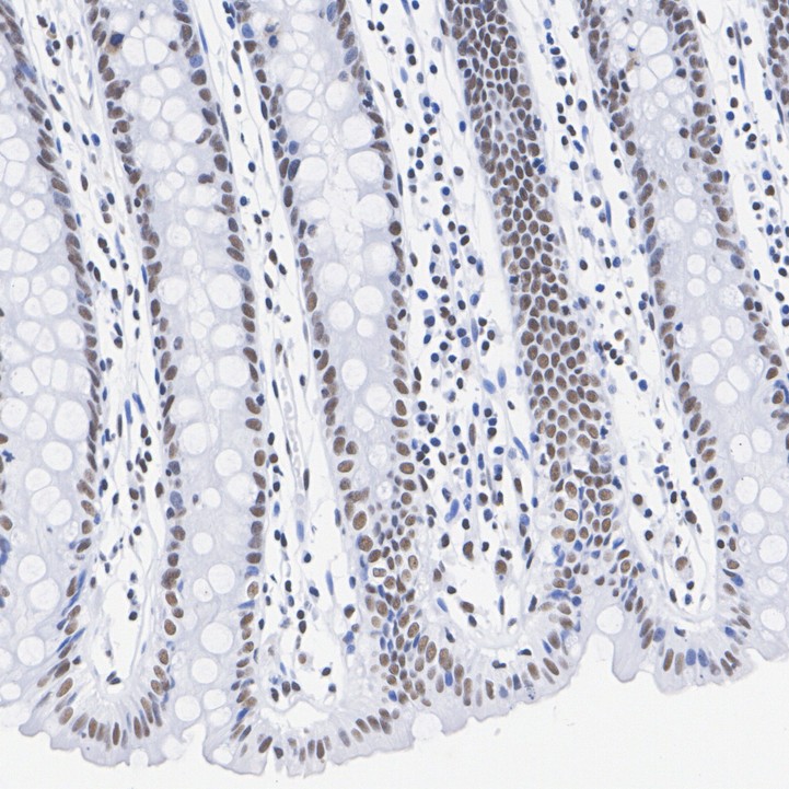 HA751847_5.jpg