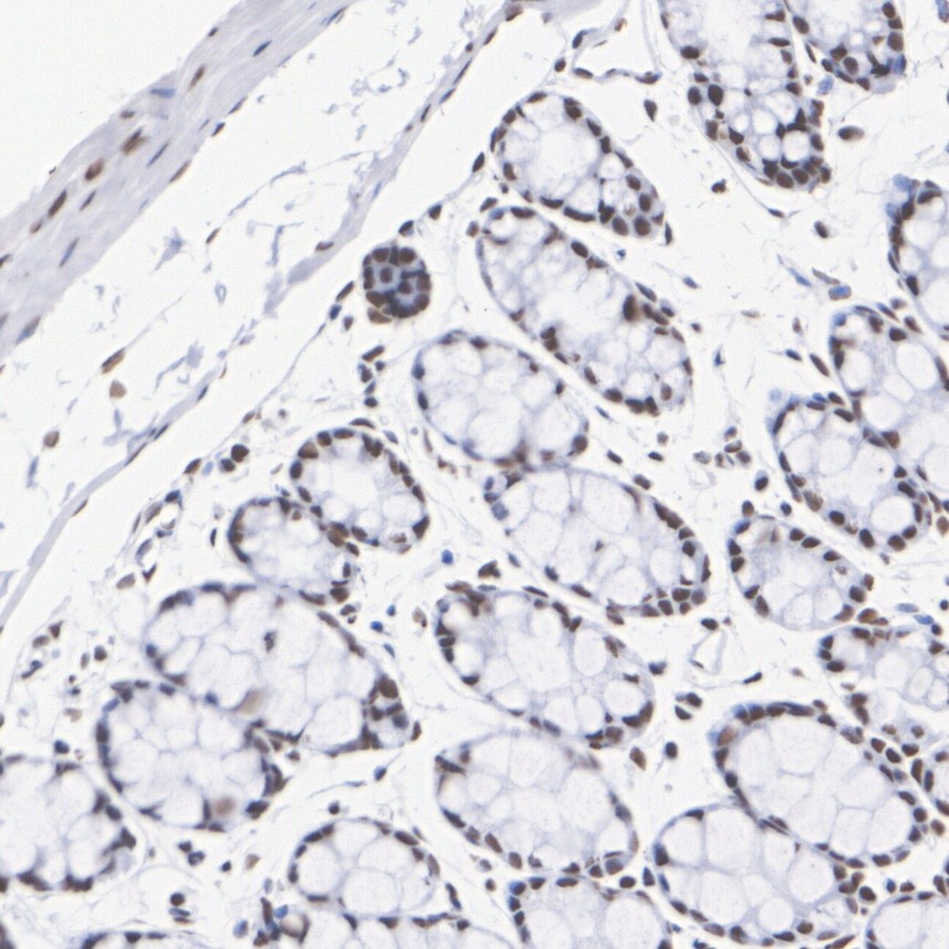 HA751847_6.jpg