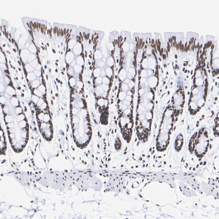 HA751847_8.jpg