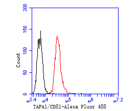 HA751848_8.jpg