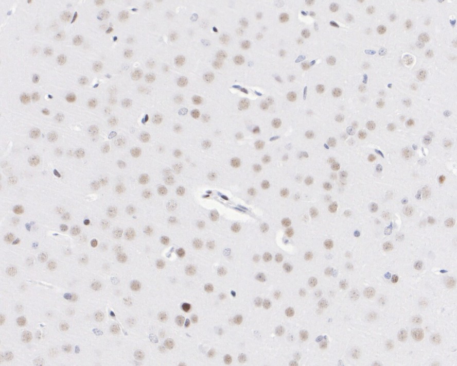 HA751852_3.jpg