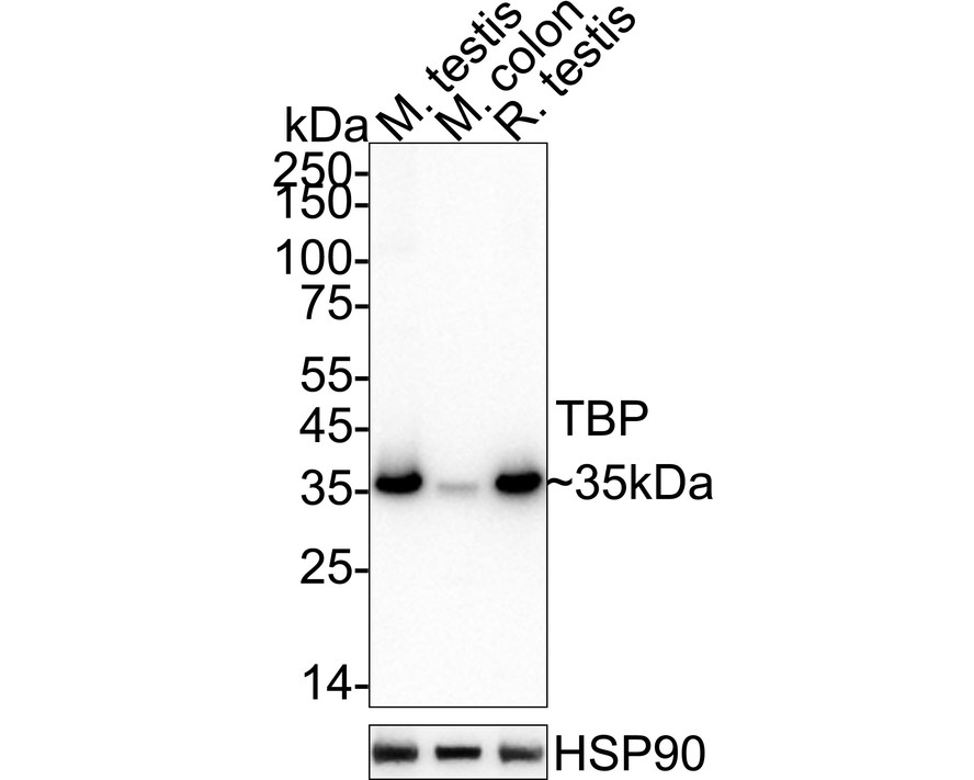 HA751855_2.jpg