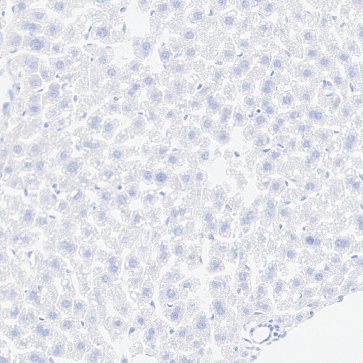 HA751861_3.jpg