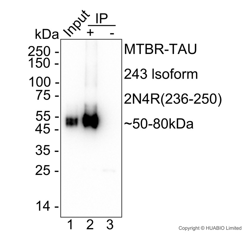 HA751872_2.JPG