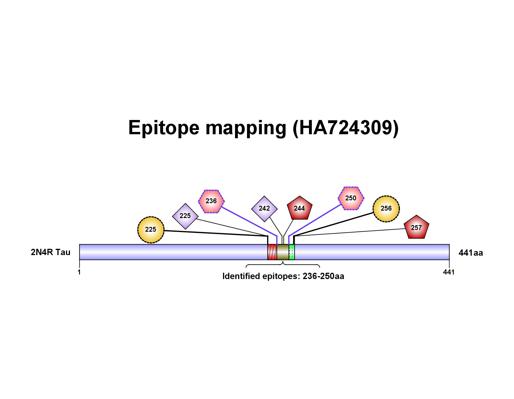 HA751872_5.png
