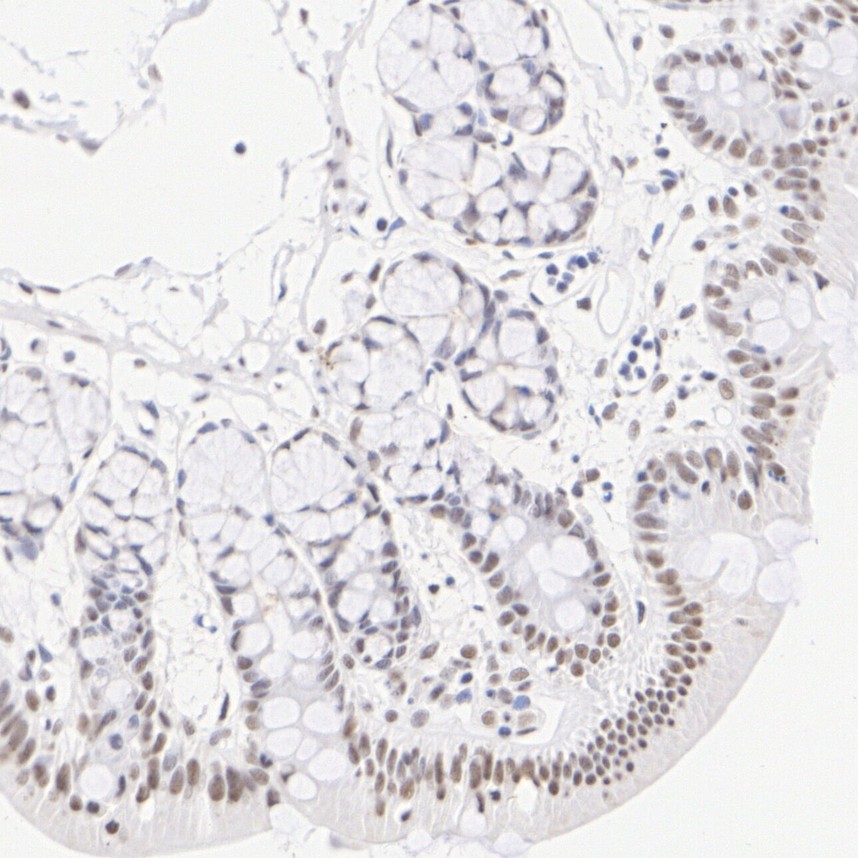 HA751878_6.jpg