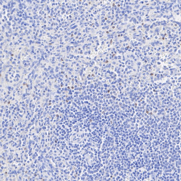 HA751883_2.jpg
