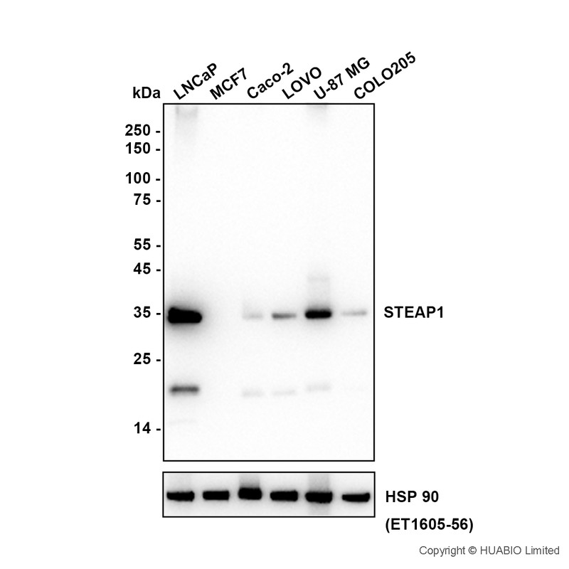 HA751899_1.jpg