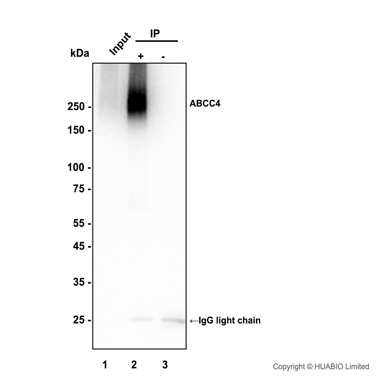 HA751903_6.jpg