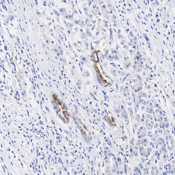 HA751905_5.jpg