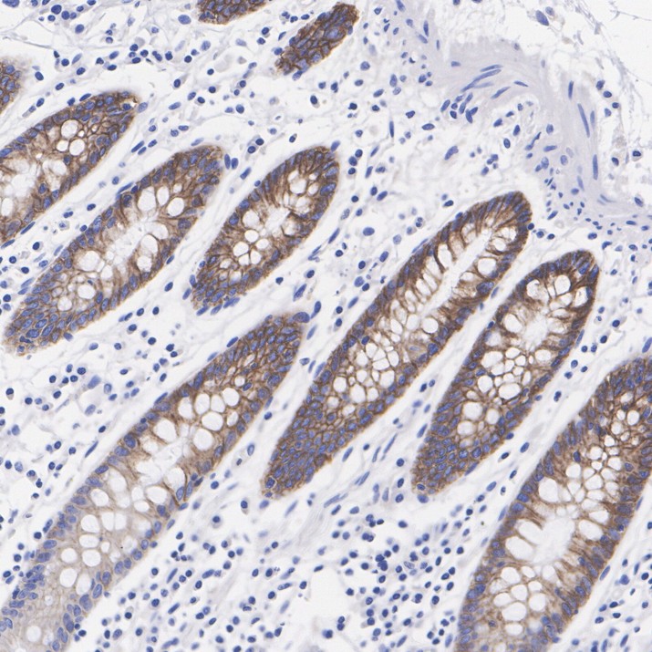HA751906_6.jpg