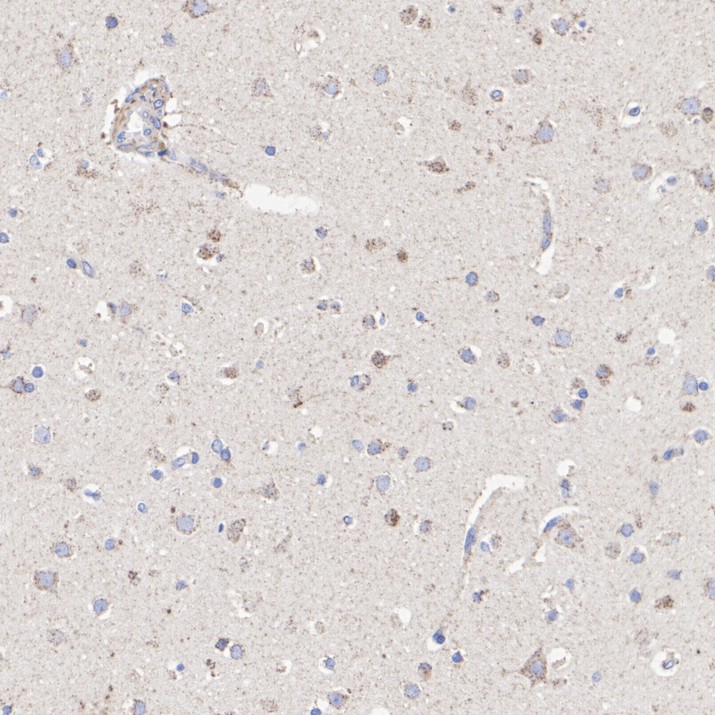 HA751908_3.jpg