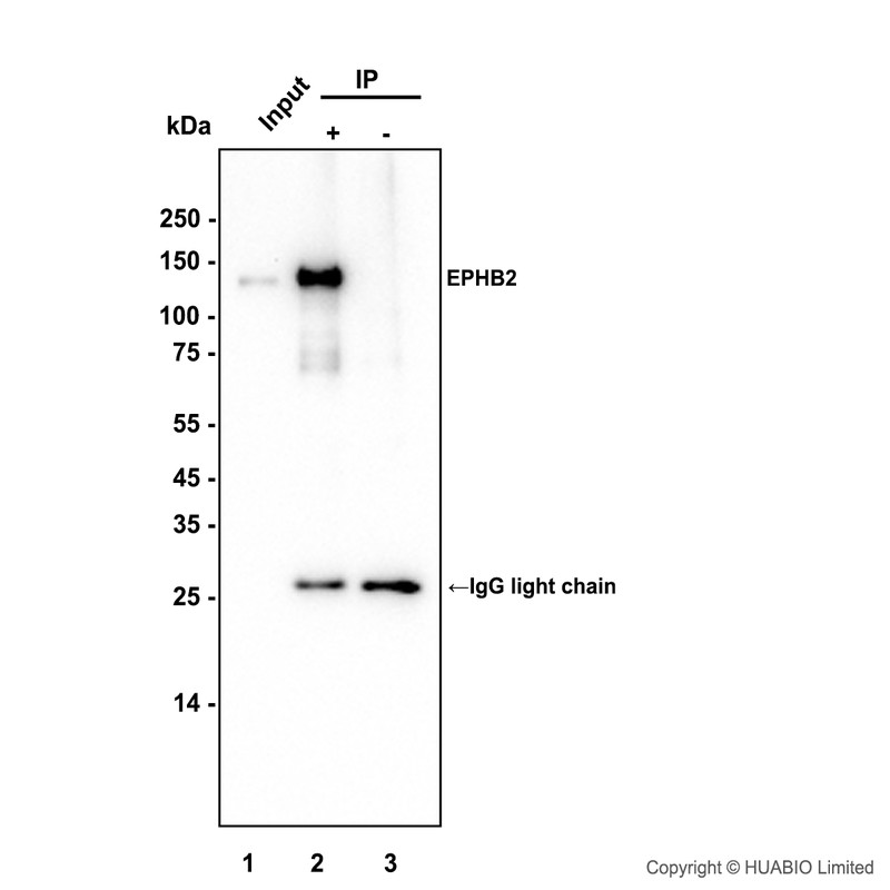 HA751909_4.jpg